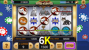 Programa VIP 6K